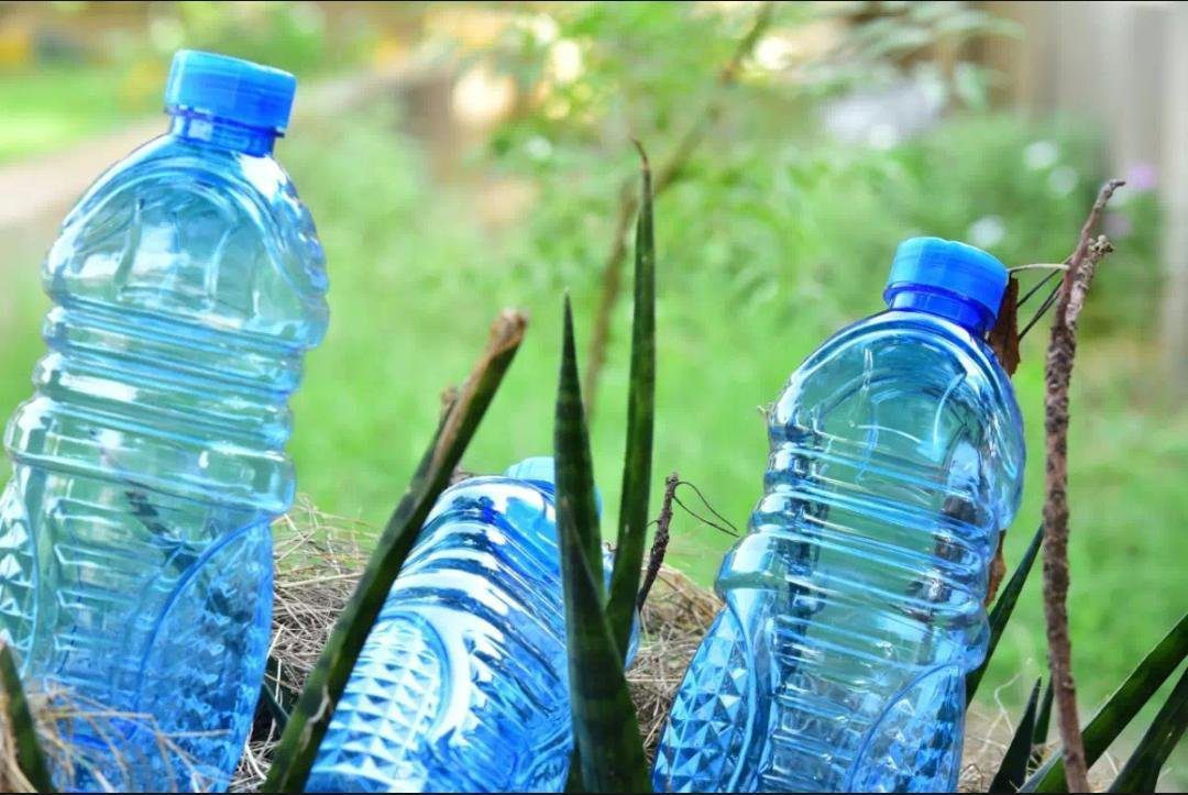 Fridge Water Bottle Pack of 3, Amazing-BPA-Free and Durable water bottles - Image 3