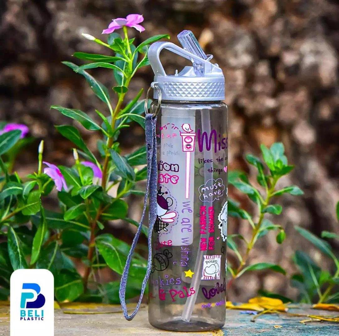 WATER BOTTLE WITH ICE CUBE : Perfect for Travel - Image 2