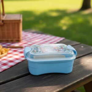 Snap Lock Plastic Lunch Box: Leak-Proof & Freshness Guaranteed